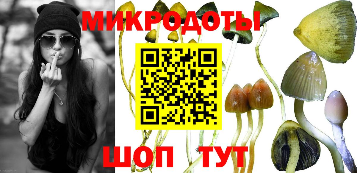 Галлюциногенные грибы Psilocybine cubensis  Псилоцибиновые грибы Cubensis  Вход с VPN  Маркс 