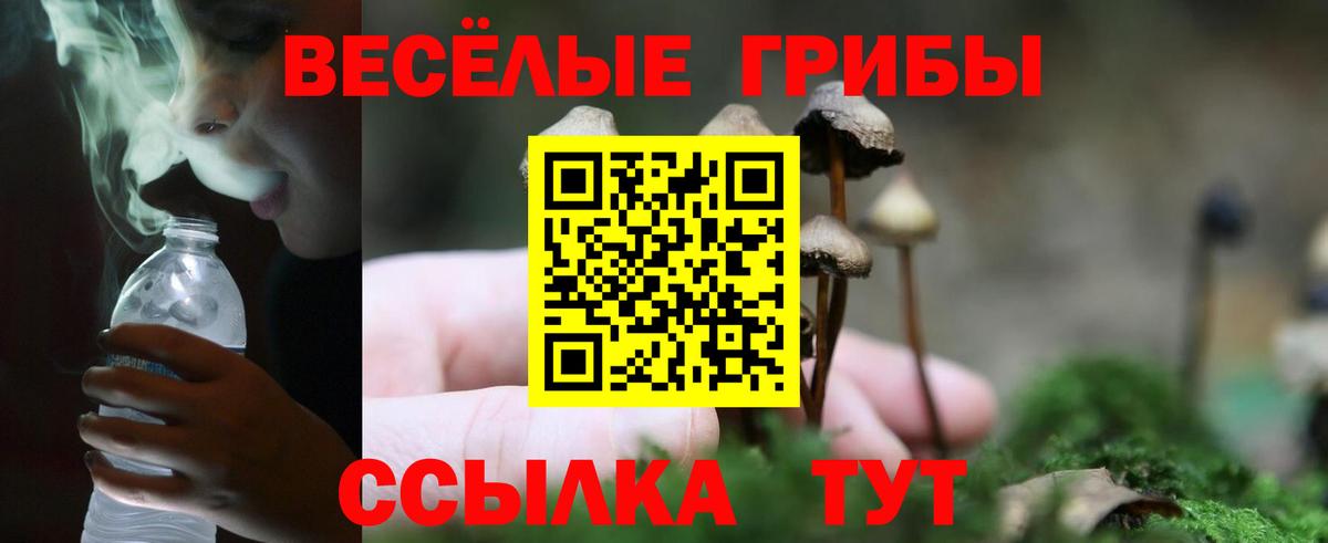 Псилоцибиновые грибы MAGIC MUSHROOMS Маркс